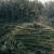 The Azores